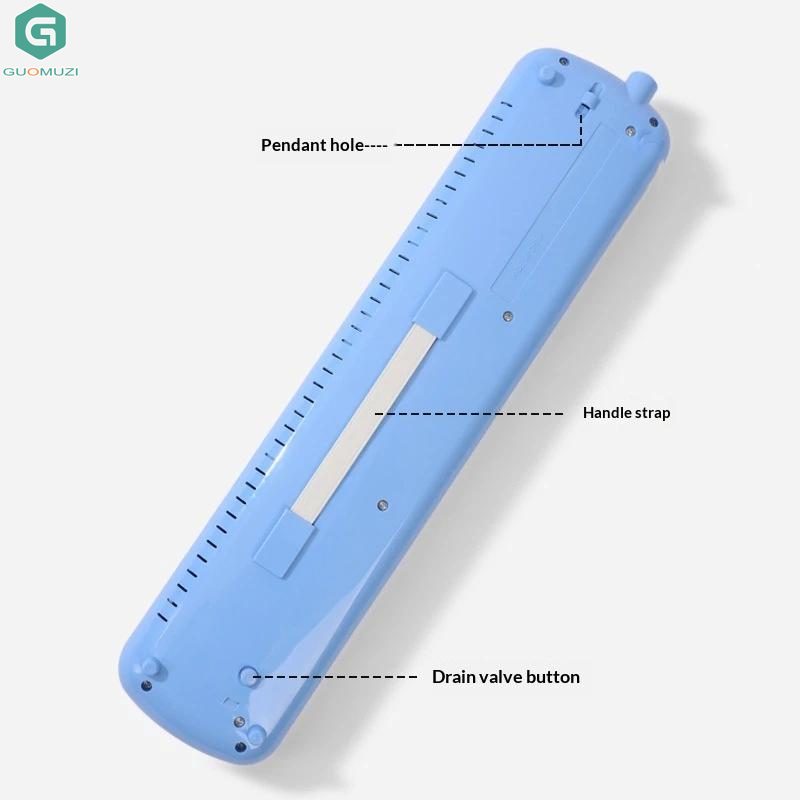 Melódica de 32 Teclas con Bols - Musical Instrument Names reseña y precio