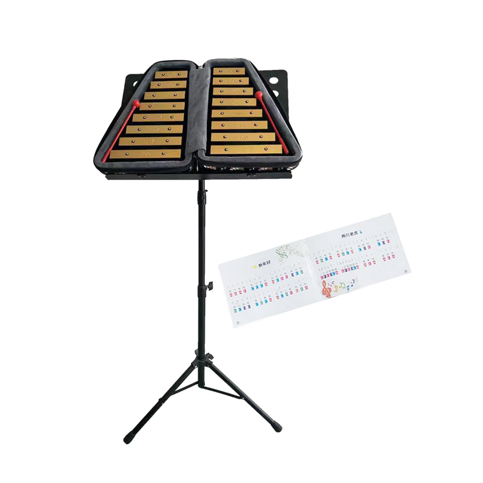 Xilófono de 16 Notas, Instrume - Musical Instrument Xylophone reseña y precio