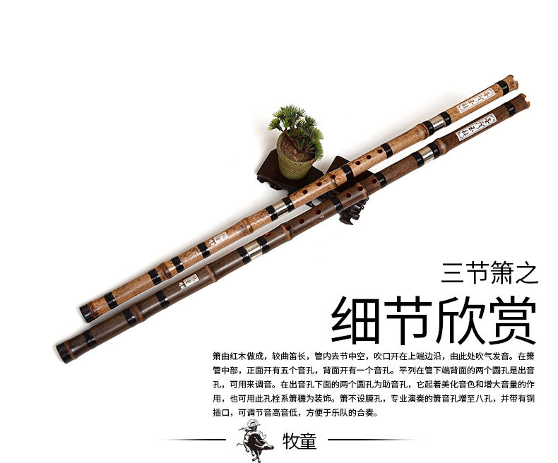 Flauta de Bambú China Xiao, In - Musical Instrument Xiao reseña y precio