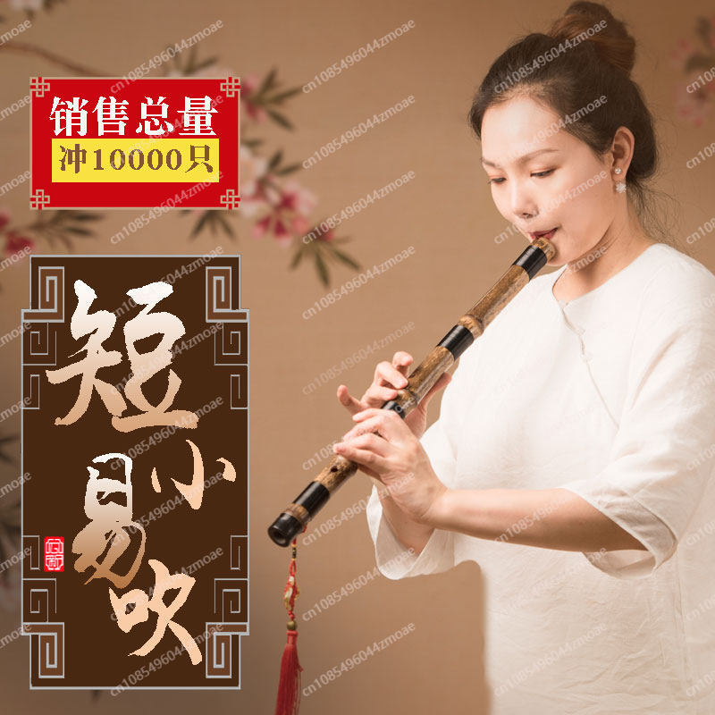 Flauta profesional de bambú de - Musical Instrument You Blow Into reseña y precio