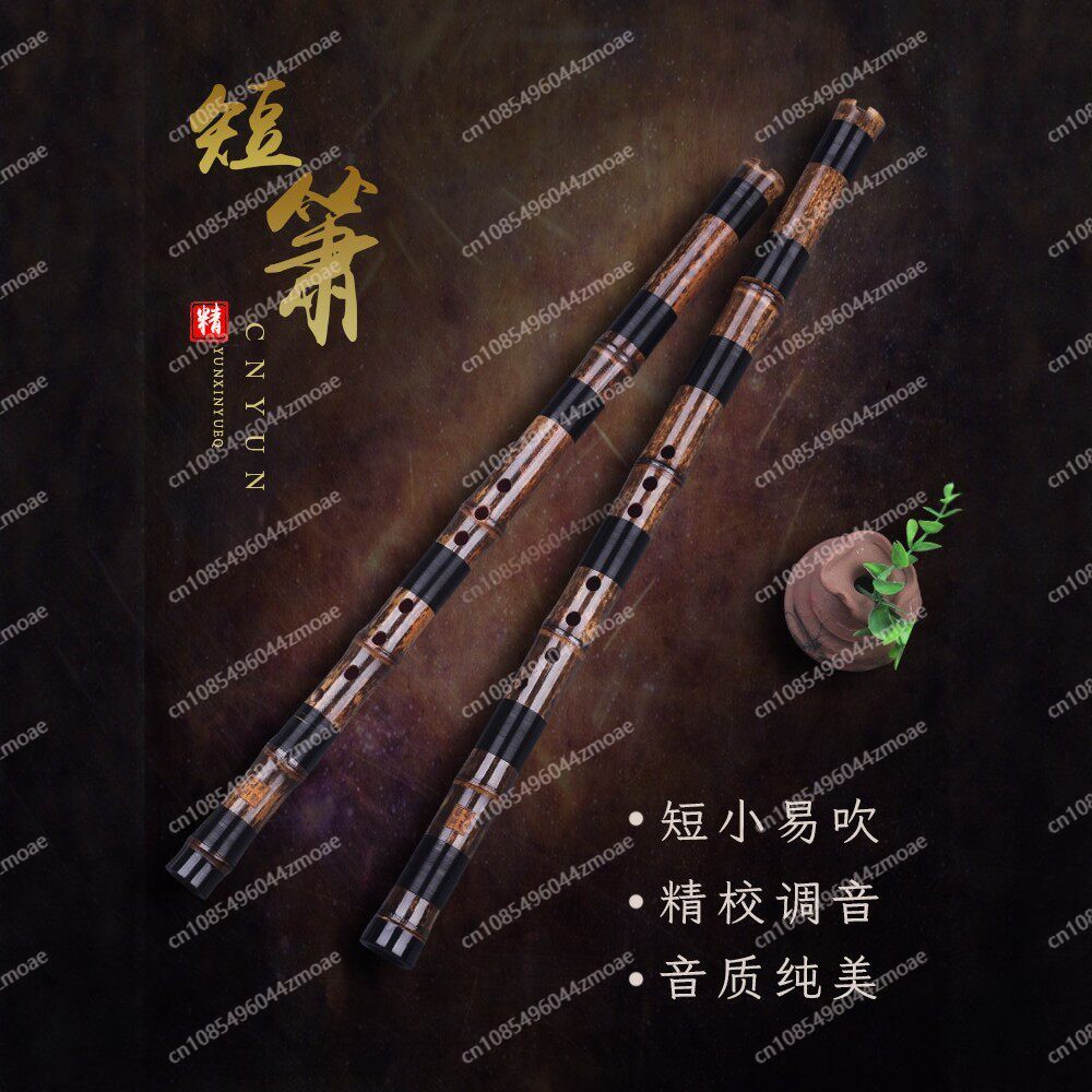 Flauta profesional de bambú de - Musical Instrument You Blow Into reseña y precio