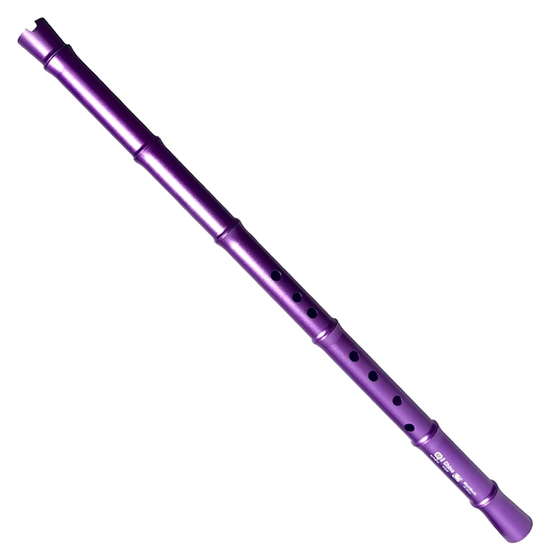 Flauta Transversal Profesional - Musical Instrument Xiao reseña y precio