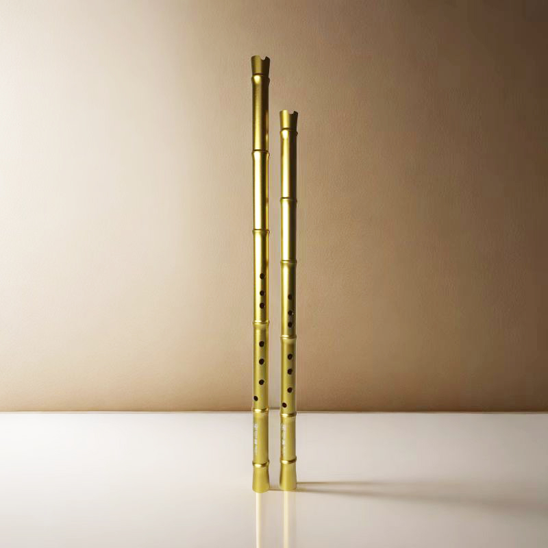 Flauta Transversal Profesional - Musical Instrument Xiao reseña y precio