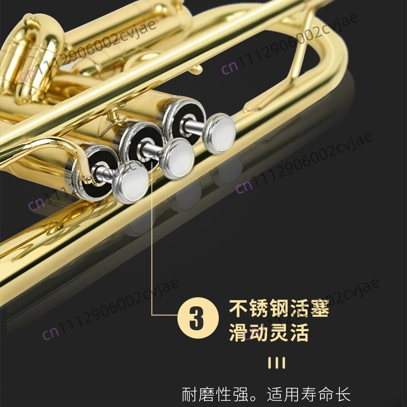 Trompeta Jinbao JBTR-300 en Si - Musical Instrument Drum reseña y precio