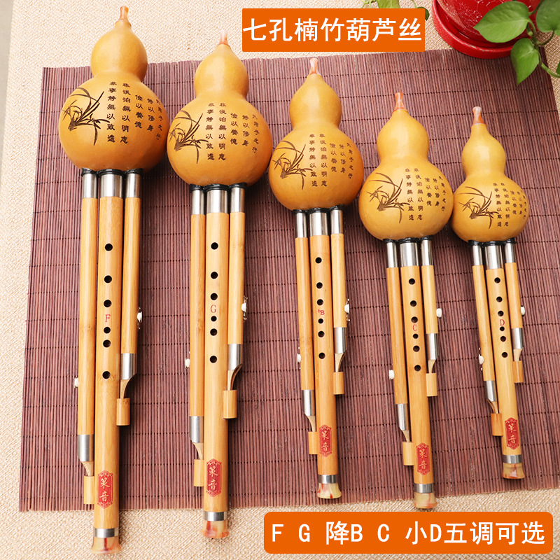 Instrumento musical de seda de - Musical Instrument You Blow Into reseña y precio