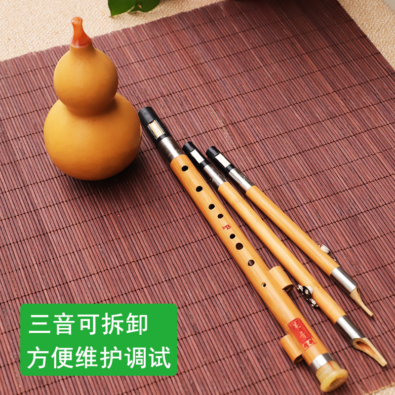 Instrumento musical de seda de - Musical Instrument You Blow Into reseña y precio