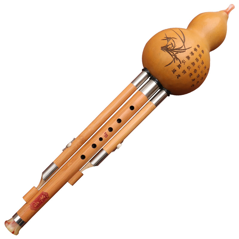 Instrumento musical de seda de - Musical Instrument You Blow Into reseña y precio