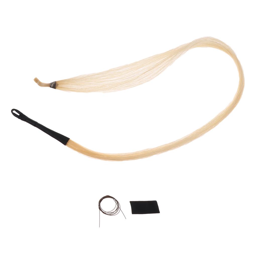 Instrumento Musical de pelo de - Musical Instrument Veena reseña y precio