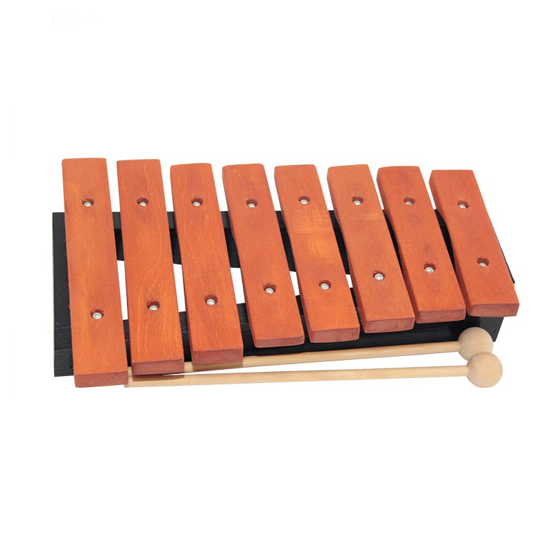 Xilófono de 8 notas para niños - Musical Instrument Xylophone reseña y precio